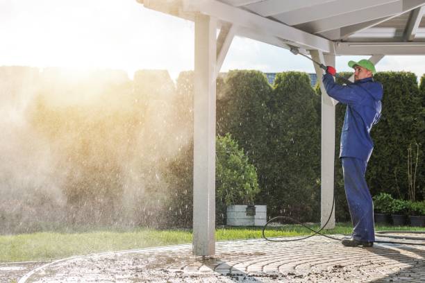 Best Gutter Cleaning  in Niceville, FL